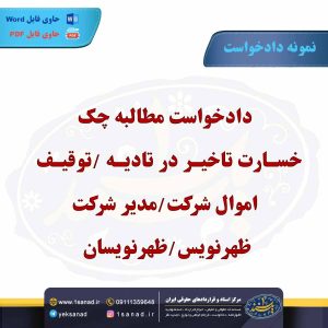 نمونه دادخواست مطالبه چک / خسارت تاخیر در تادیه